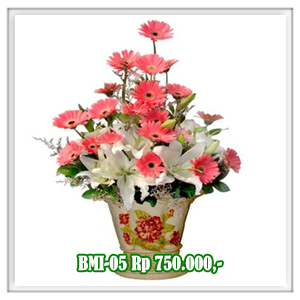 BMI-05 750RB