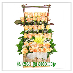 BMN-08 1.000RB