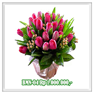 BMN-04 1.000RB