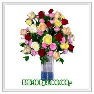 BMN-10 1.000RB