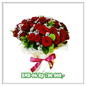 BMH-06 700RB