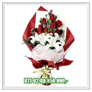BTI-02 850RB