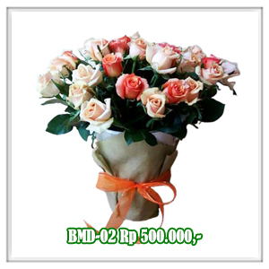 BMD-02 500RB