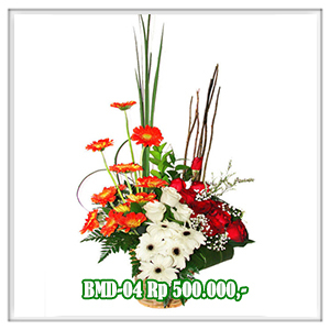BMD-04 500RB