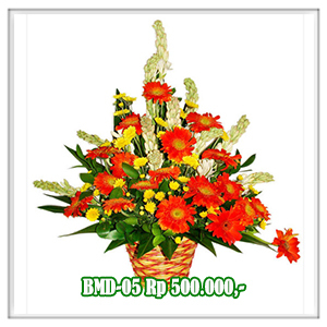 BMD-05 500RB