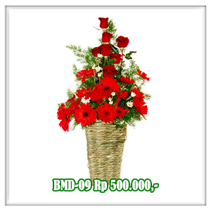 BMD-09 500RB