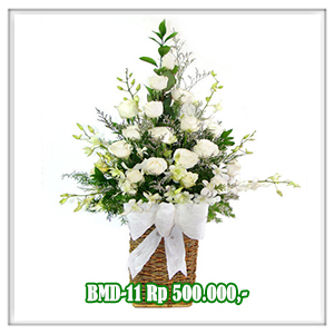 BMD-11 500RB