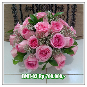 BMH-03 700RB