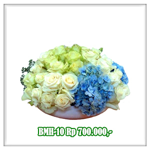 BMH-10 700RB
