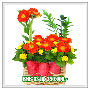 BMB-03 350RB