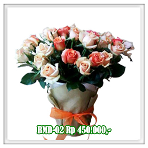 BMD-02 450RB