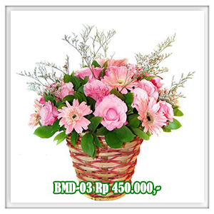 BMD-03 450RB