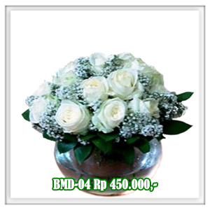 BMD-04 450RB