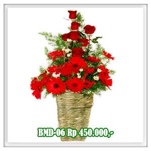 BMD-06 450RB