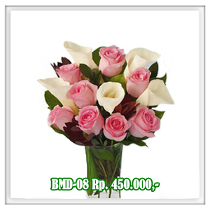 BMD-08 450RB