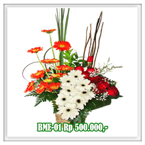 BME-01 500RB