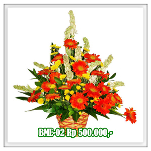 BME-02 500RB