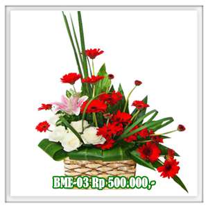 BME-03 500RB