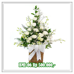 BME-06 500RB