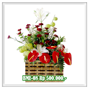 BME-08 500RB