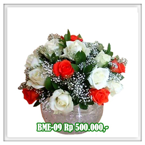 BME-09 500RB