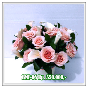 BMF-06 550RB