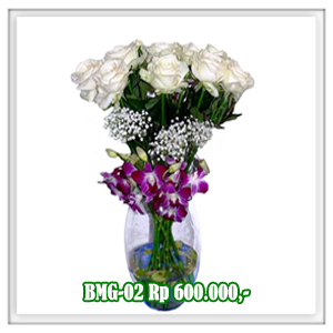 BMG-02 600RB