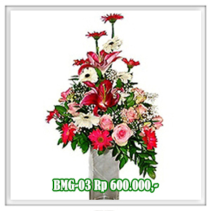 BMG-03 600RB