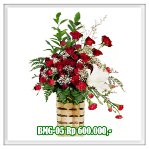 BMG-05 600RB