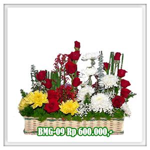 BMG-09 600RB