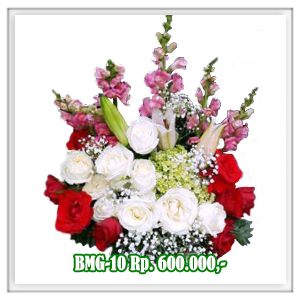 BMG-10 600RB