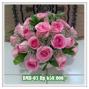 BMH-03 650RB