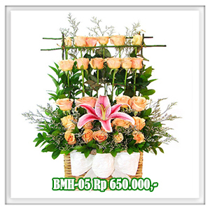 BMH-05 650RB