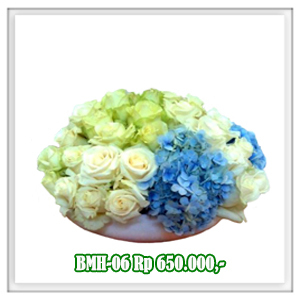 BMH-06 650RB