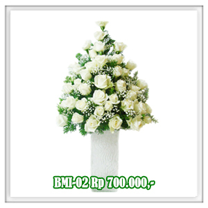 BMI-02 700RB