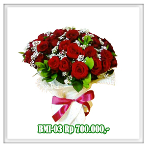 BMI-03 700RB