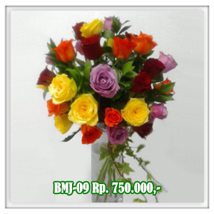 BMJ-09 750RB