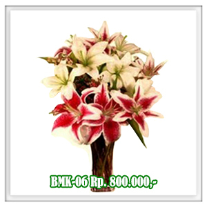 BMK-06 800RB