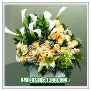 BMO-03 1JT