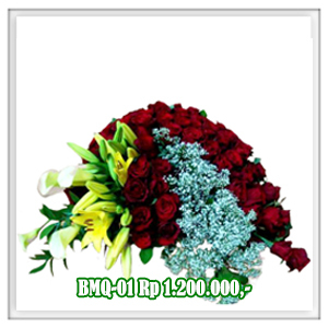 BMQ-01 1.2JT