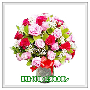 BMR-01 1.3JT