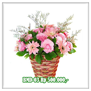 BMD-03 500RB