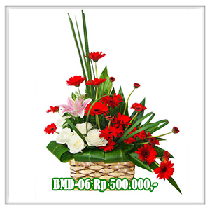 BMD-06 500RB