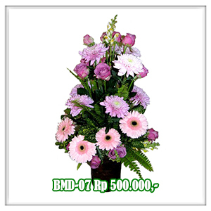 BMD-07 500RB