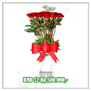 BMD-12 500RB