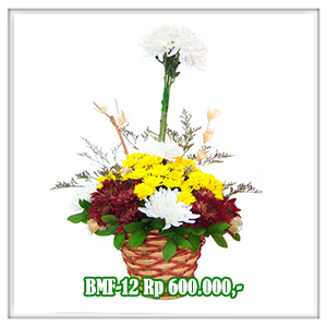 BMF-12 600RB