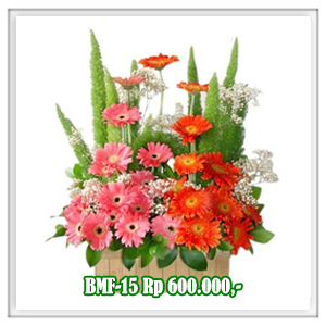 BMF-15 600RB