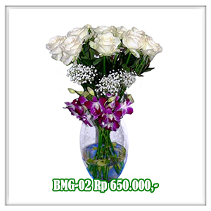 BMG-02 650RB