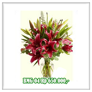 BMG-04 650RB