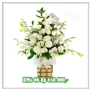 BMG-06 650RB